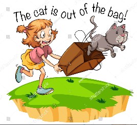 express�o idiom�tica cat out of the bag